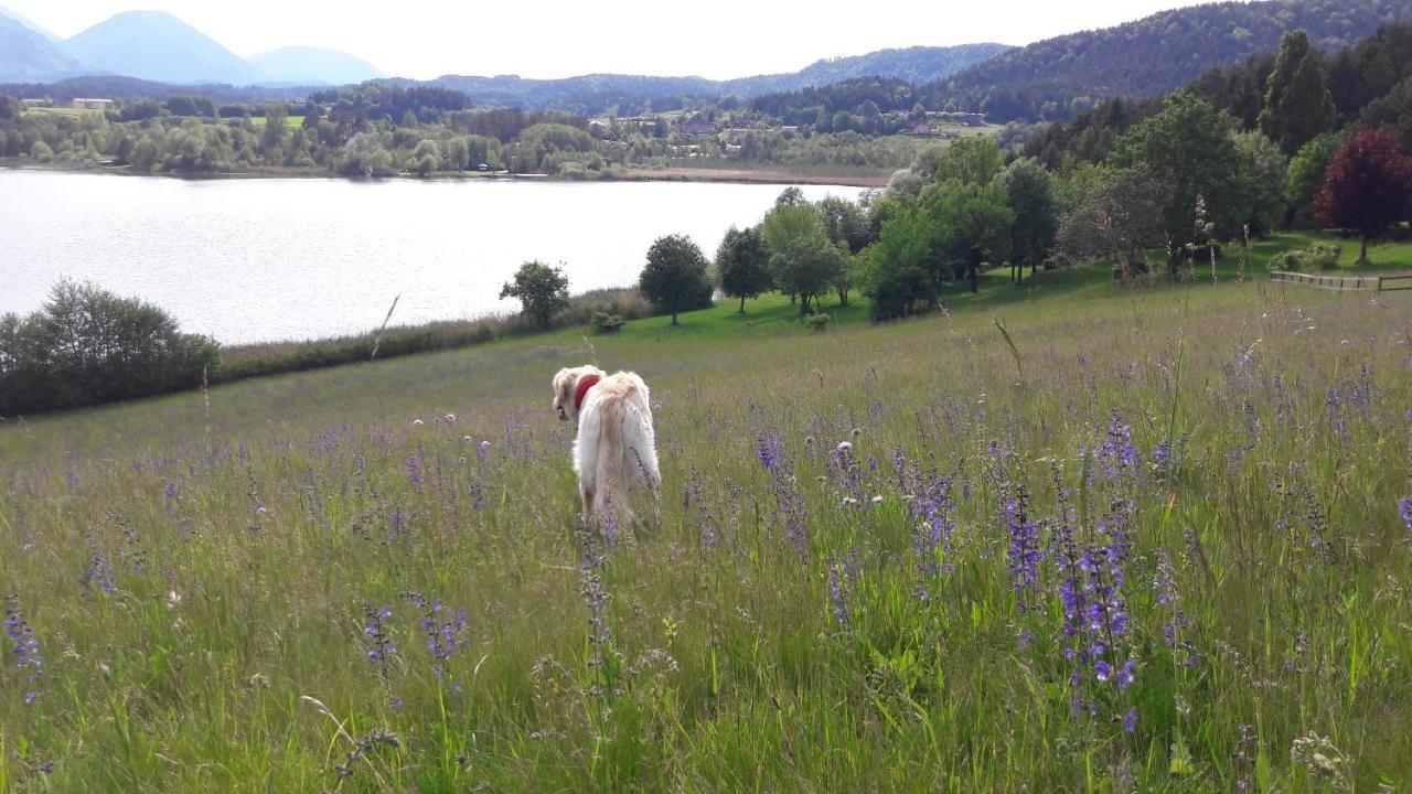 Hotel Am See Obersammelsdorf Εξωτερικό φωτογραφία